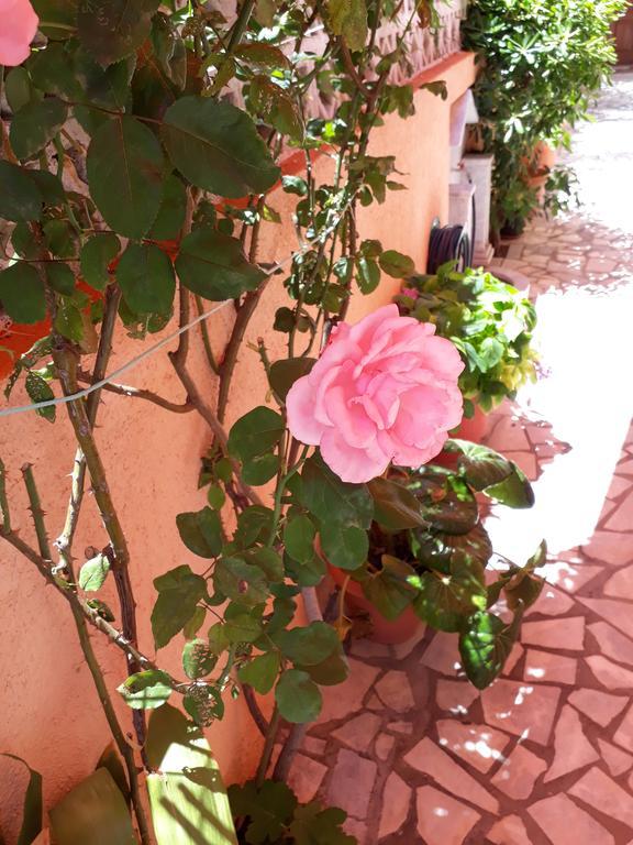 سكالا إيريسو Krinelos Rooms المظهر الخارجي الصورة